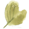 Blatt3