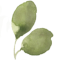 Blatt5