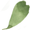 Blatt6