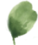 BlattWebsite