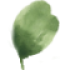 BlattWebsite
